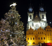 Christmas Tree at Old Town Square in Prague